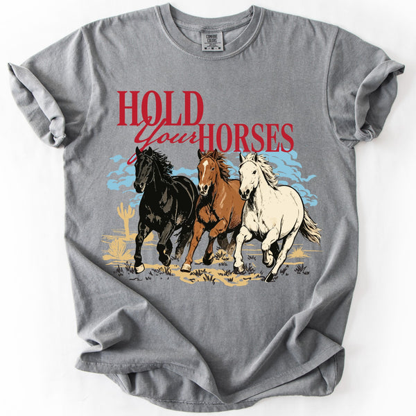Gray unisex Comfort Colors horse graphic T-shirt featuring red Hold Your Horses lettering and three running horses in a vintage desert scene.