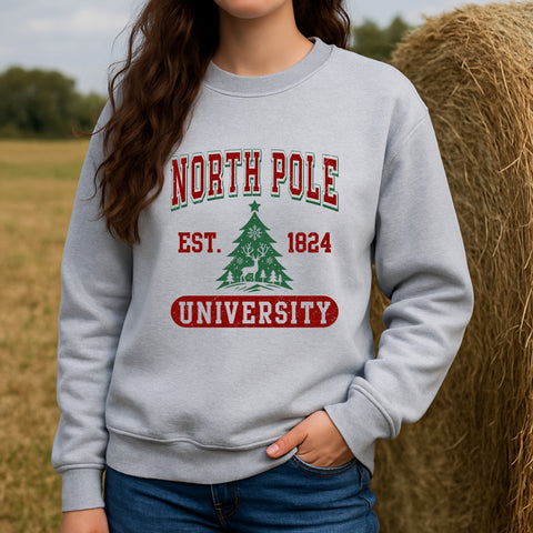 Woman wearing an ash gray North Pole University Christmas sweatshirt with vintage varsity lettering, standing by a hay bale in an outdoor rustic setting.
