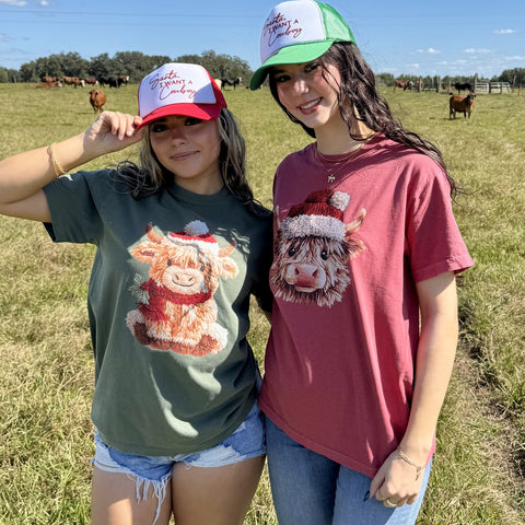 Two people wearing t-shirts with Christmas cow designs in a field with cows in the background